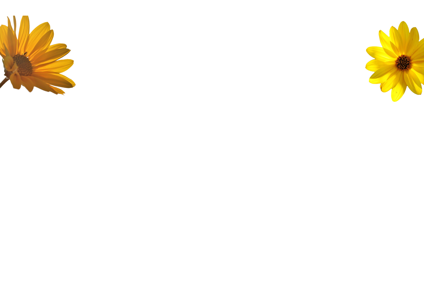 arnika-bunt